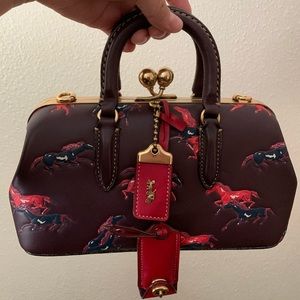 Coach Limited Edition Kisslock bag